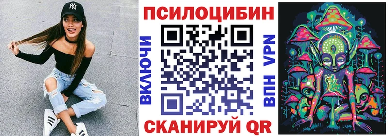 Галлюциногенные грибы Psilocybe  Купить  Кяхта 