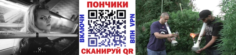 Купить  Кяхта  Бошки марихуана конопля 